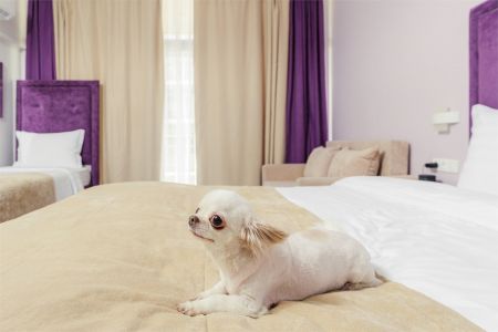 Superior with balcony (dog friendly)